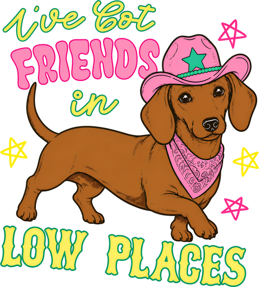 Digital Design "I've Got Friends in Low Places"